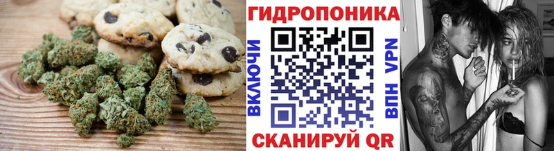 купить наркотики сайты  Бабушкин  Cannafood марихуана 