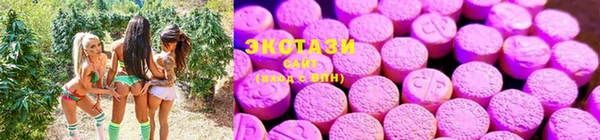 ешки Алексеевка