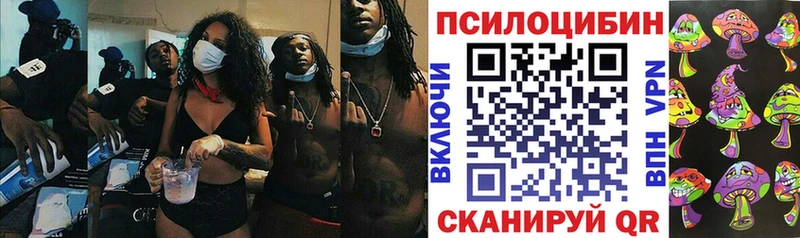 Псилоцибиновые грибы мицелий  Бабушкин 