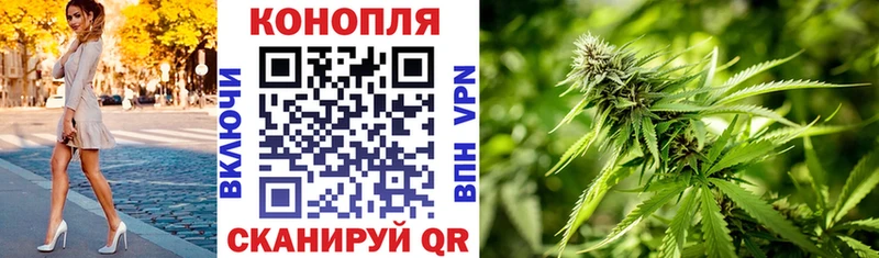 Шишки марихуана Bruce Banner  Бабушкин 